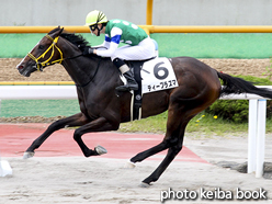 カラープリント(アルミ枠なし)2016年7月2日函館2R 3歳未勝利(ティープラズマ)