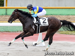 カラーパネル2016年7月2日函館3R 3歳未勝利(セレノグラフィー)