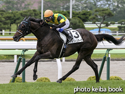 カラーパネル2016年7月2日函館4R 3歳未勝利(ドルフィンマーク)