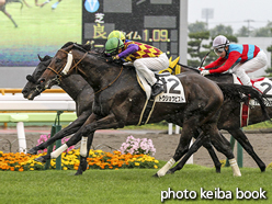 カラープリント(アルミ枠なし)2016年7月2日函館8R 3歳上500万下(トウショウピスト)