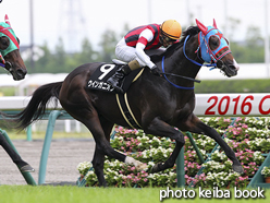 カラーパネル2016年7月3日中京10R 有松特別(ウインガニオン)