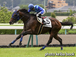 カラープリント(アルミ枠なし)2016年7月9日福島1R 障害未勝利(ララオムドゥクー)