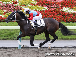 カラープリント(アルミ枠付き)2016年7月9日福島8R 3歳上500万下(アトランタ)