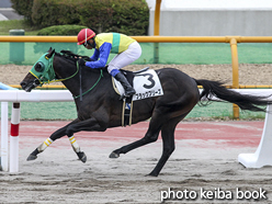 カラープリント(アルミ枠なし)2016年7月9日函館7R 3歳上500万下(ブラックブリーズ)