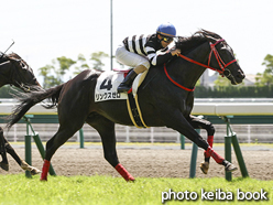 カラーパネル2016年7月10日中京1R 2歳未勝利(リンクスゼロ)