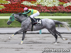 カラープリント(アルミ枠付き)2016年7月10日福島10R 天の川賞(シュミット)