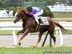 カラーパネル2016年7月10日函館6R 3歳未勝利(カゼノシッポ)