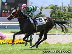 カラープリント(アルミ枠なし)2016年7月16日函館5R 2歳新馬(ポッドジーニー)