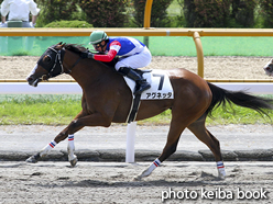 カラープリント(アルミ枠なし)2016年7月16日函館7R 3歳上500万下(アグネッタ)