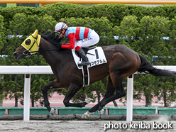 カラーパネル2016年7月16日函館9R 3歳上500万下(タマモアルム)