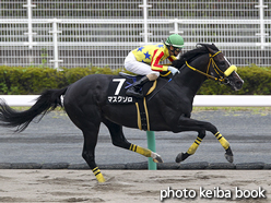 カラーパネル2016年7月17日中京11R ジュライステークス(マスクゾロ)