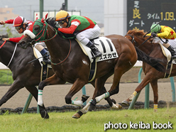 カラープリント(アルミ枠なし)2016年7月17日福島1R 2歳未勝利(スズカゼ)