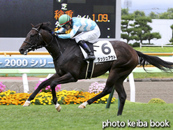 カラーパネル2016年7月17日函館1R 2歳未勝利(ラッシュアウト)