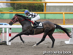 カラープリント(アルミ枠なし)2016年7月17日函館10R 渡島特別(リーゼントロック)