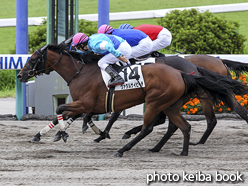 カラープリント(アルミ枠なし)2016年7月23日福島2R 3歳未勝利(ヴァタルサイビーチ)