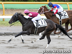 カラーパネル2016年7月23日函館2R 3歳未勝利(エアショウ)