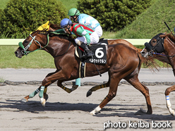 カラーパネル2016年7月24日福島10R 横手特別(ベルウッドケルン)