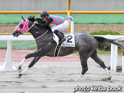 カラープリント(アルミ枠なし)2016年7月24日函館3R 3歳未勝利(ダンツペレット)