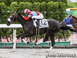 カラープリント(アルミ枠なし)2016年7月24日函館7R 3歳上500万下(クライミングローズ)