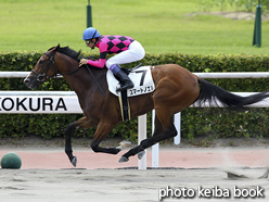 カラープリント(アルミ枠なし)2016年7月30日小倉7R 3歳上500万下(スマートノエル)