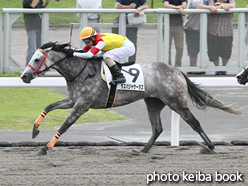 カラーパネル2016年7月30日札幌7R 3歳上500万下(ラスパジャサーダス)