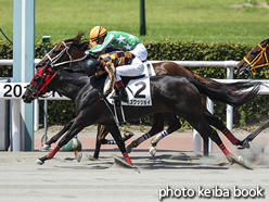 カラープリント(アルミ枠付き)2016年7月31日小倉2R 3歳未勝利(モズワッショイ)