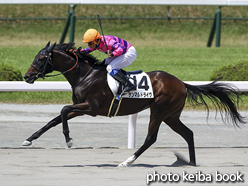 カラープリント(アルミ枠なし)2016年7月31日小倉3R 3歳未勝利(サンマルドライヴ)