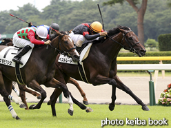 カラーパネル2016年7月31日新潟2R 3歳未勝利(ベストレート)