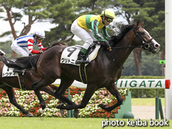 カラーパネル2016年7月31日新潟5R 2歳新馬(グリトニル)