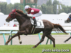 カラーパネル2016年7月31日札幌4R 3歳未勝利(ドルチャーリオ)