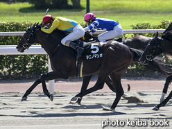 カラープリント(アルミ枠付き)2016年8月6日小倉10R 指宿特別(タニノマンボ)