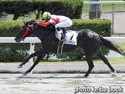 カラーパネル2016年8月7日札幌3R 3歳未勝利(ダノングランツ)