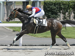 カラープリント(アルミ枠付き)2016年8月7日札幌6R 3歳上500万下(ロックキャンディ)