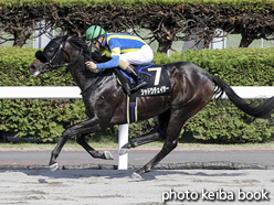 カラープリント(アルミ枠付き)2016年8月7日札幌10R 大倉山特別(シャドウチェイサー)