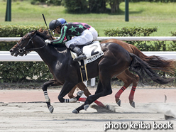 カラープリント(アルミ枠付き)2016年8月13日小倉5R 2歳新馬(ブラックランナー)