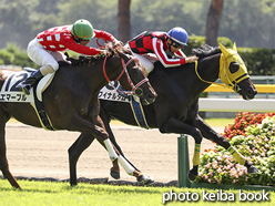 カラーパネル2016年8月13日新潟1R 2歳未勝利(ワイナルダム)