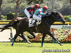 カラープリント(アルミ枠付き)2016年8月13日新潟4R 障害未勝利(アムールスキー)