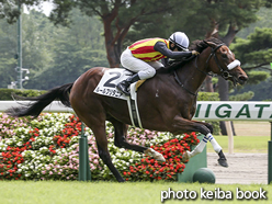 カラーパネル2016年8月14日新潟3R 3歳未勝利(ルールブリタニア)