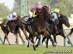 カラーパネル2016年8月14日新潟10R 豊栄特別(ロワアブソリュー)