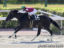 カラープリント(アルミ枠なし)2016年8月20日小倉11R TVQ杯(ザマンダ)