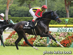 カラープリント(アルミ枠なし)2016年8月20日新潟9R 出雲崎特別(ステイパーシスト)