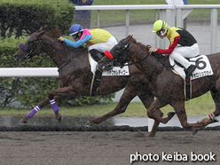 カラープリント(アルミ枠なし)2016年8月20日札幌4R 3歳未勝利(ハヤブサレディゴー)