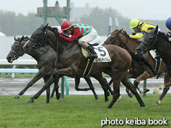 カラープリント(アルミ枠なし)2016年8月20日札幌7R 3歳未勝利(コスモレティクルム)