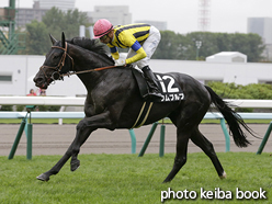 カラープリント(アルミ枠付き)2016年8月20日札幌11R 札幌日刊スポーツ杯(ウムブルフ)