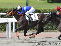 カラープリント(アルミ枠なし)2016年8月21日小倉2R 3歳未勝利(リリーシューター)