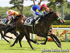 カラーパネル2016年8月21日新潟6R 3歳未勝利(バンダムザブラッド)