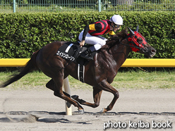 カラープリント(アルミ枠付き)2016年8月21日新潟11R NST賞(エイシンローリン)