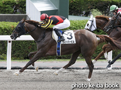 カラープリント(アルミ枠なし)2016年8月21日札幌2R 3歳未勝利(ウィーバービル)