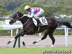 カラープリント(アルミ枠付き)2016年8月27日小倉5R 2歳新馬(アオアラシ)