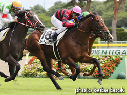 カラープリント(アルミ枠なし)2016年8月27日新潟5R 2歳新馬(ルートディレクトリ)